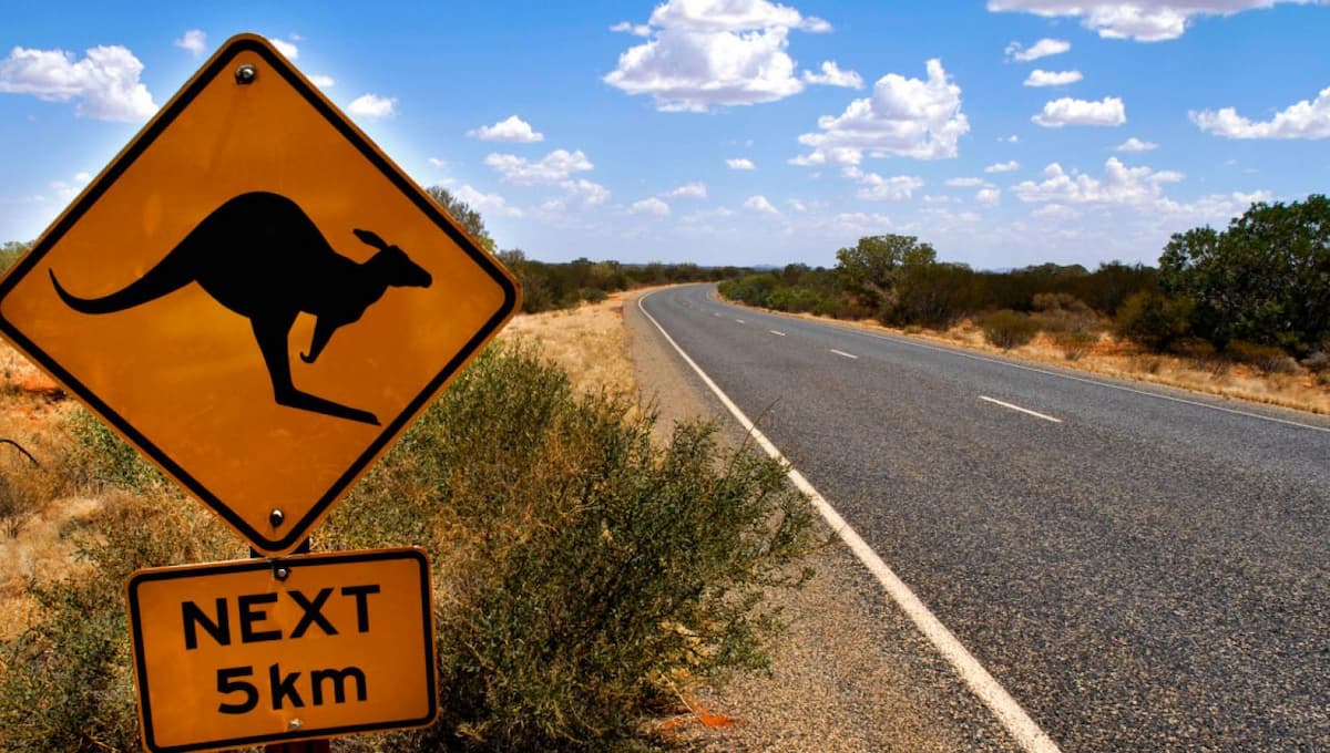 3GPP compliance в действии: как PGW от VAS Experts восстановил 4G-роуминг в Австралии